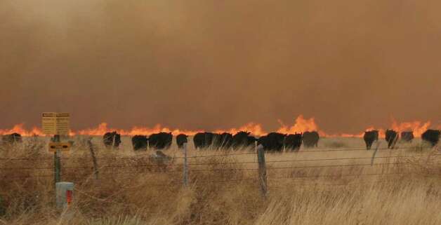 Crews battle wildfires amid severe Texas drought - Times Union
