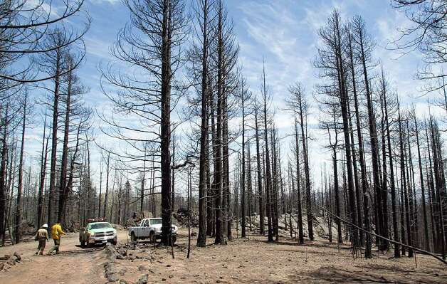  ... dry patches of forest from several wildfires burning throughout the