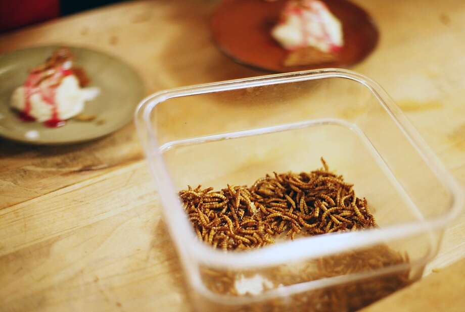 Mealworms, cultivated in California, are the larval form of the Tenebrio molitor beetle and have long been consumed by the native populations of Mexico. At Headlands Center for the Arts in Sausalito, Calif. on Thursday Oct. 27, 2011. Photo: Tim Maloney, The Chronicle