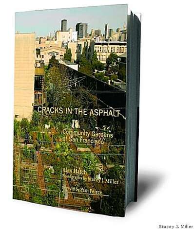 Cracks in the Asphalt: Community Gardens of San Francisco Alex Hatch