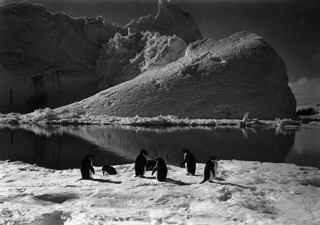 Penguins resting on the ice in front of a large iceberg. Photo: Popperfoto, H.G. Pointing/Terra Nova / Popperfoto