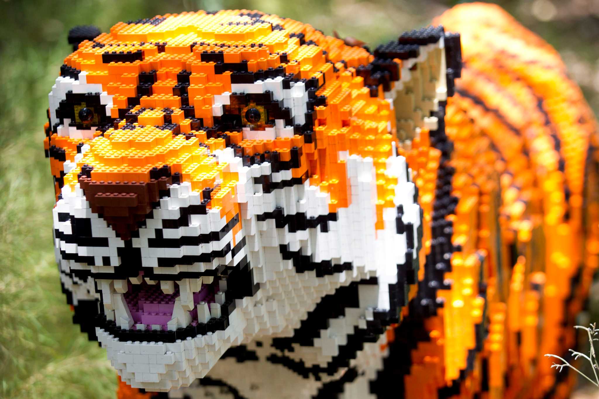 Lego Zoo Animals - Houston Chronicle