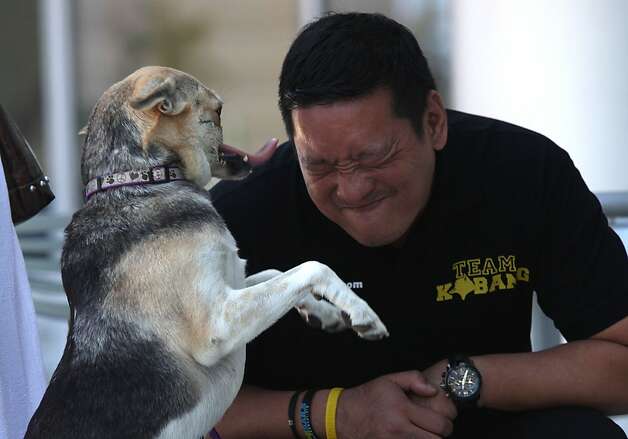 Veterinarian Anton Lim of the Philippines plays with Kabang, whom he will escort home on Thursday. Photo: Liz Hafalia, The Chronicle