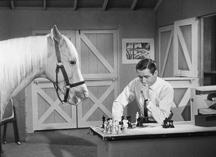 The Best Of Mr. Ed