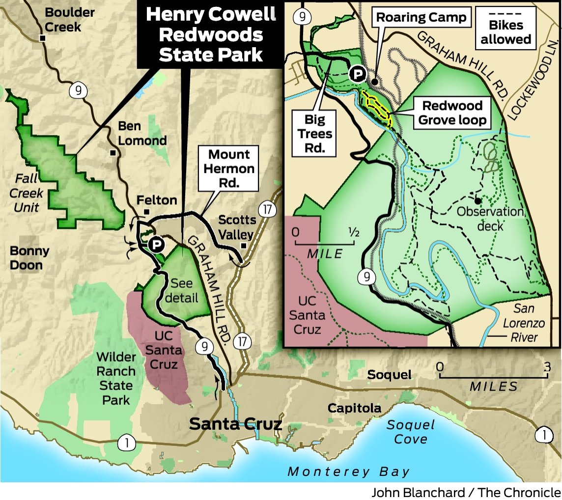 Sunday Drive Getaway: Henry Cowell Redwoods State Park - SFGate