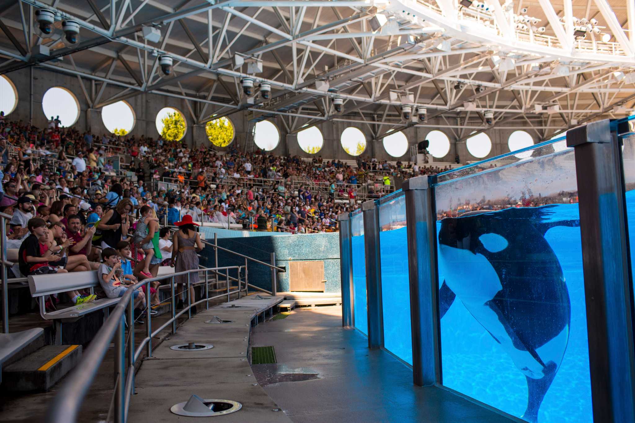 SeaWorld dividend cuts lead to stock woes, uncertainty - San Antonio Express-News2048 x 1365