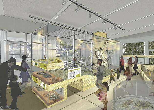 Date set for grand unveiling of new Randall Museum in San Francisco