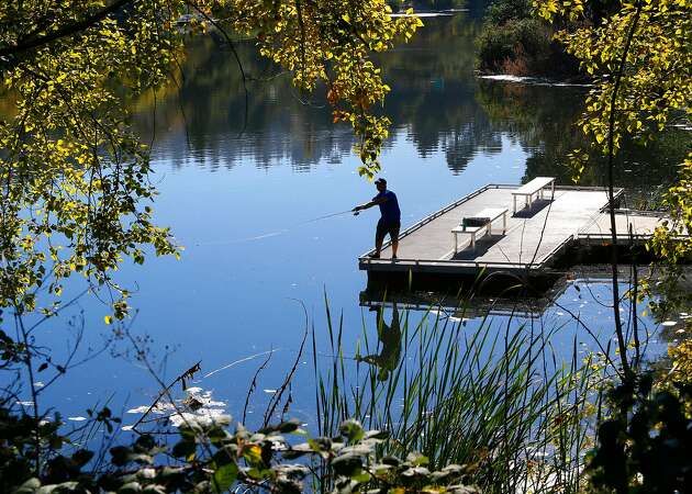 Oakland's Lake Temescal closed due to toxic algae