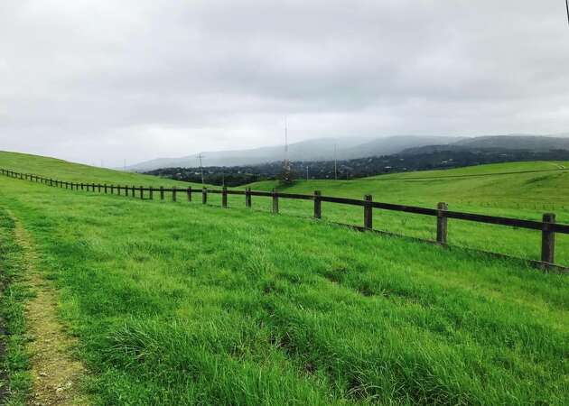 Photos: After winter rains, the hills of Northern California are velvety and green