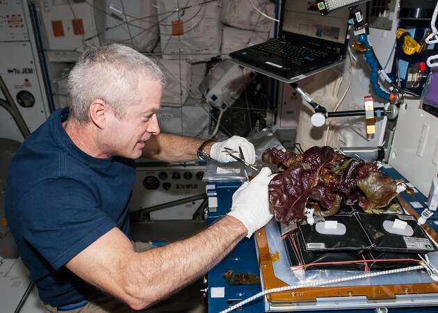 Can the quest to produce fresh food in space achieve liftoff?