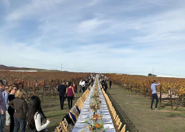 Chefs gather for an early Thanksgiving in the Wine Country vineyards
